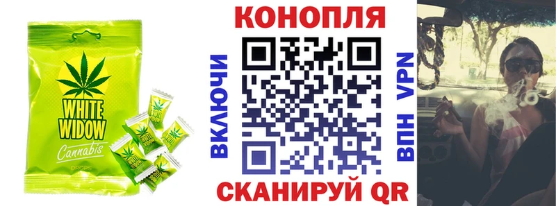 закладки  Красноярск  omg как войти  Canna-Cookies марихуана 