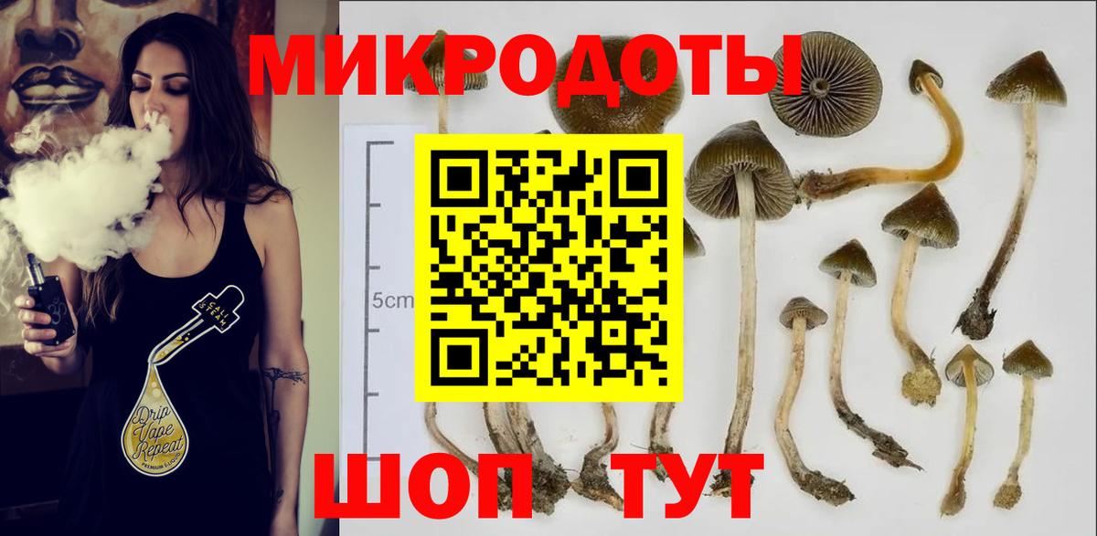 Красноярск  Псилоцибиновые грибы ЛСД  где можно купить наркотик  Вход с VPN 