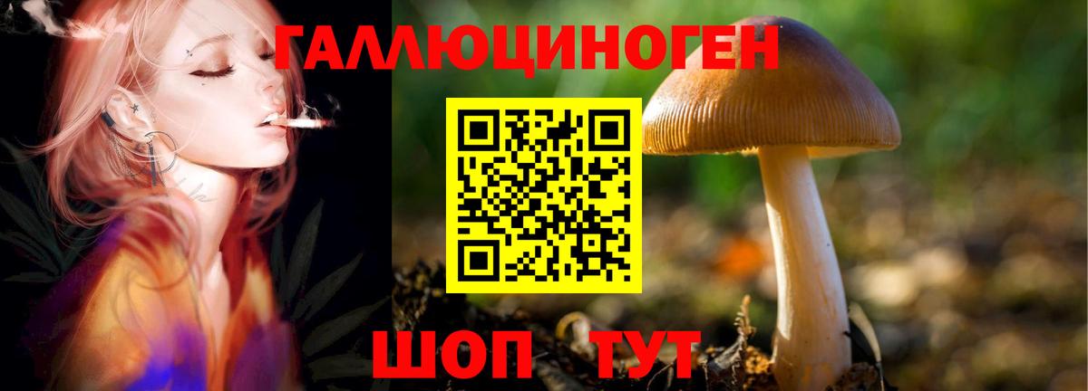 Псилоцибиновые грибы прущие грибы Красноярск